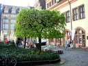 DSC00435